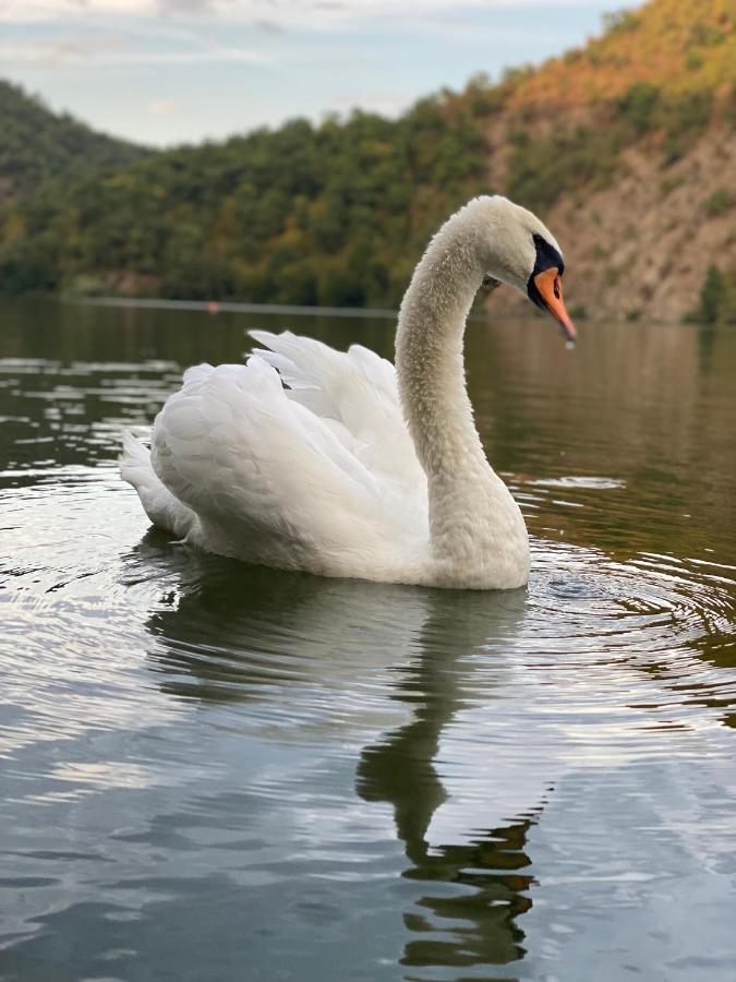 Готель Cabana Ana Ilovita Екстер'єр фото